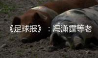 《足球报》：冯潇霆等老将确认无缘国家队名单