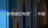 “前有狼后有虎”，中国第三大动力电池生产商赴港上市