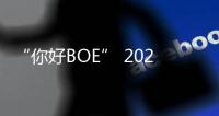 “你好BOE” 2025首站�！超酷现场等你来看