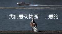 “我们爱动物园”	，爱的是什么？