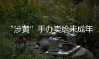 “涉黄”手办卖给未成年人	：应对玩具分级管理丨快评
