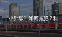 “小胖墩”如何减肥？科学减重看这里