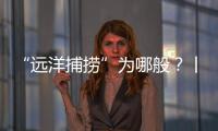 “远洋捕捞”为哪般？丨法眼
