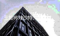 王毅将对沙特、土耳其、伊朗	、阿联酋和巴林进行正式访问 对阿曼进行工作访问
