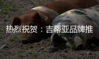 热烈祝贺：吉蒂亚品牌推广暨工艺比武大赛(玉林站)圆满落幕