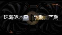 珠海啄木鸟｜孕期	、产期、哺乳期不可辞退  勇敢向“三期”侵权说“不”	！