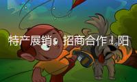 特产展销、招商合作！阳西把商务服务中心建在斗门