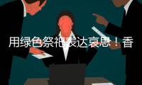 用绿色祭祀表达哀思	！香洲多个镇街社区开展文明祭扫活动