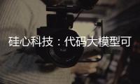 硅心科技
：代码大模型可使国有银行开发效率提升30%