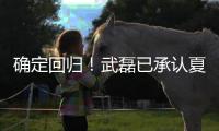 确定回归
�！武磊已承认夏窗回归上海海港队