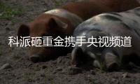 科派砸重金携手央视频道	�，厨卫市场再掀波澜
