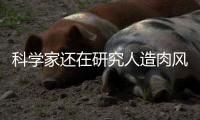 科学家还在研究人造肉风味，人造肉企业已经撑不下去了
