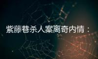 紫藤巷杀人案离奇内情�：四个专案组与警界“内鬼”