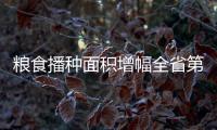 粮食播种面积增幅全省第一
！珠海粮油大面积单产提升行动启动