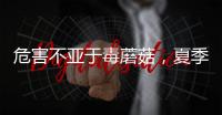 危害不亚于毒蘑菇
，夏季吃海鲜小心贝类中毒