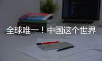 全球唯一	！中国这个世界遗产研究机构十岁了