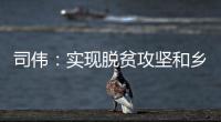 司伟：实现脱贫攻坚和乡村振兴有效衔接 亟需解决资产管理问题