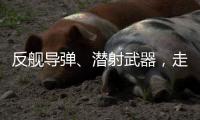 反舰导弹、潜射武器
，走近航展里的“海防利器”丨2022航展