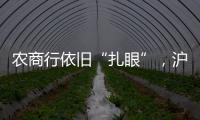农商行依旧“扎眼”�，沪农商行摘“罚金之王”｜金融合规榜