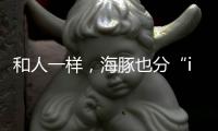和人一样，海豚也分“i豚”和“e豚”吗？