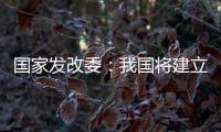 国家发改委
：我国将建立和实施育儿补贴制度