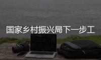 国家乡村振兴局下一步工作重点是什么？七大任务带你了解