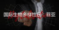 国际生物多样性日：菲亚特动力科技助力特提斯研究所地中海鲸目动物和海洋环境