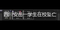 四川安岳一学生在校坠亡，官方通报