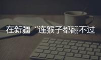 在新疆“连猴子都翻不过的山”
�，查缉
、抢险和反恐维稳