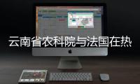 云南省农科院与法国在热带果树、蔬菜等方面加强合作