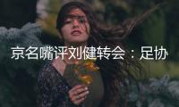 京名嘴评刘健转会�：足协监管缺失 或引亚足联质询