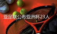 亚足联公布亚洲杯23人全明星阵容：武磊入选