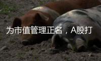 为市值管理正名，A股打响“慢牛令”
？