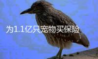 为1.1亿只宠物买保险
：如何证明“我的狗是我的狗”