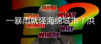 一暴雨就怪海绵城市
？洪涝和内涝得区分