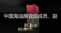 中国海油原党组成员、副总经理袁光宇接受审查调查