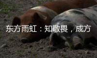 东方雨虹：知敬畏，成方圆