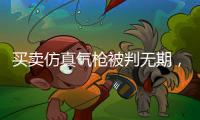 买卖仿真气枪被判无期，一位妻子的十三年诉讼路