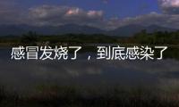 感冒发烧了，到底感染了啥？
