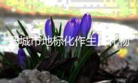 把城市地标化作生日礼物！珠海
，生日快乐！