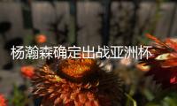 杨瀚森确定出战亚洲杯
，上海男篮欲签古德温�，广东男篮上调陈家政