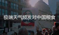 极端天气频发对中国粮食生产有何影响	？