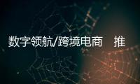 数字领航/跨境电商　推动“买卖全球”