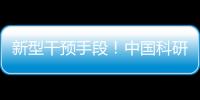 新型干预手段�！中国科研团队研发肝纤维化靶向干预策略