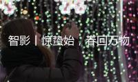 智影丨惊蛰始
�，春回万物生