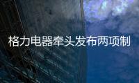 格力电器牵头发布两项制冷压缩机国际标准 董明珠：消费者的需要才是真正的标准