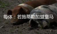 每体：若施蒂勒加盟皇马，交易金额可能超过5000万欧