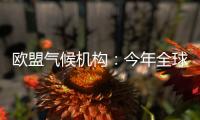 欧盟气候机构

：今年全球气温经历有记录以来第二热的5月