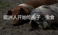 欧洲人开始吃虫子，虫食能否颠覆传统饮食格局	
？