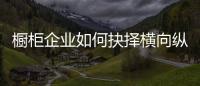 橱柜企业如何抉择横向纵向发展？